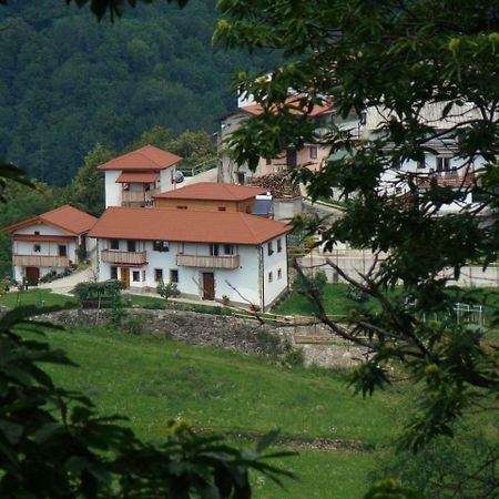 Apartmaji Nena Rocinj 外观 照片