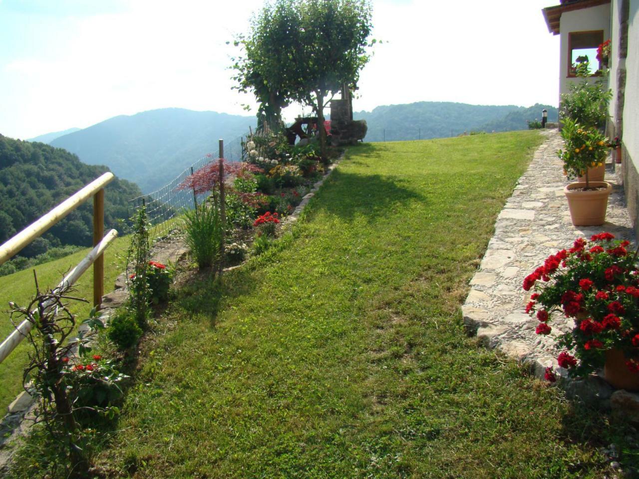 Apartmaji Nena Rocinj 外观 照片