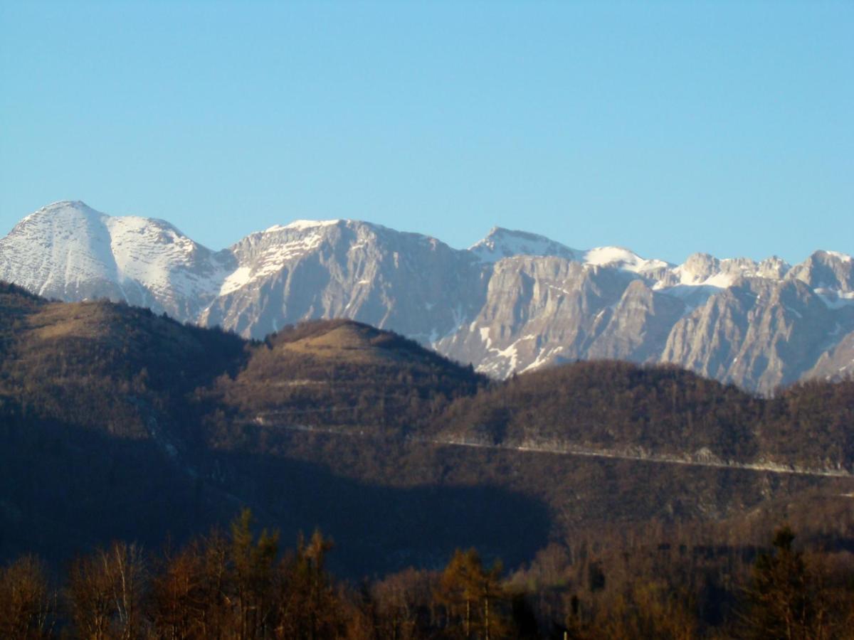 Apartmaji Nena Rocinj 外观 照片