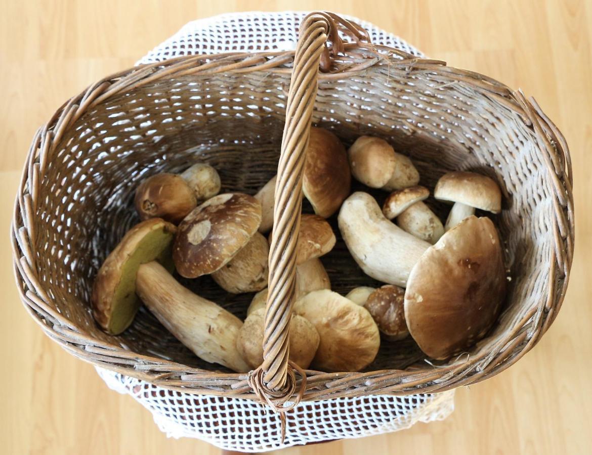 Apartmaji Nena Rocinj 外观 照片